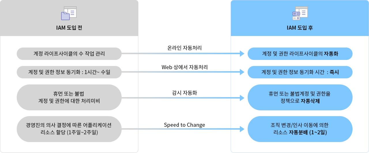 도입효과